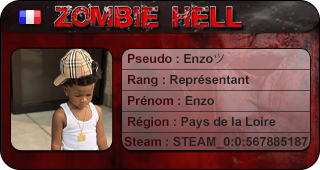 fiche Enzo
